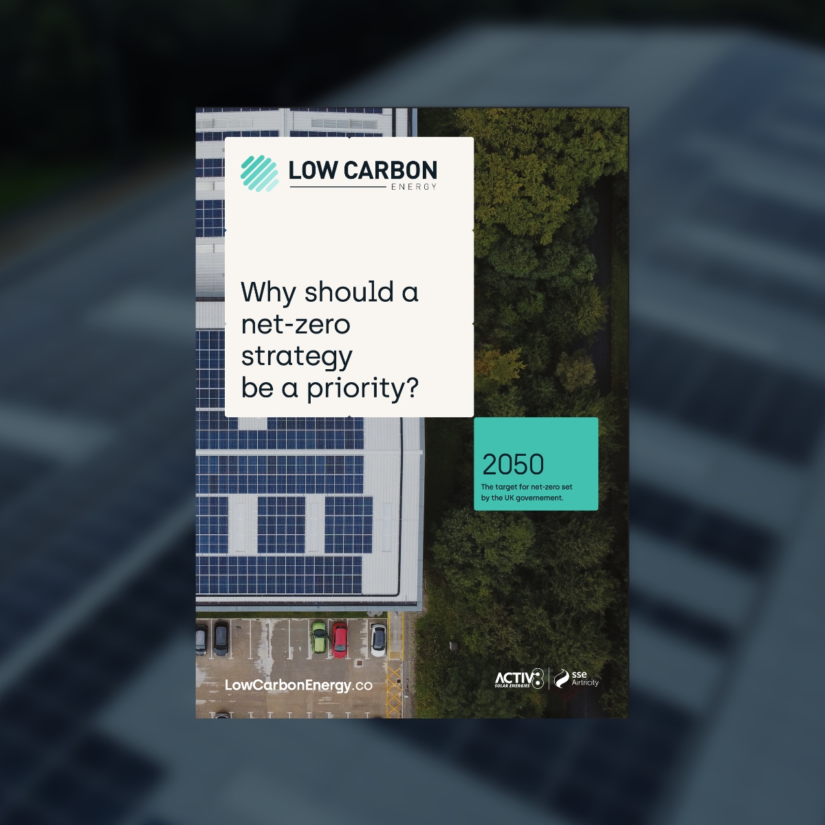 Why should a net zero strategy be a priority