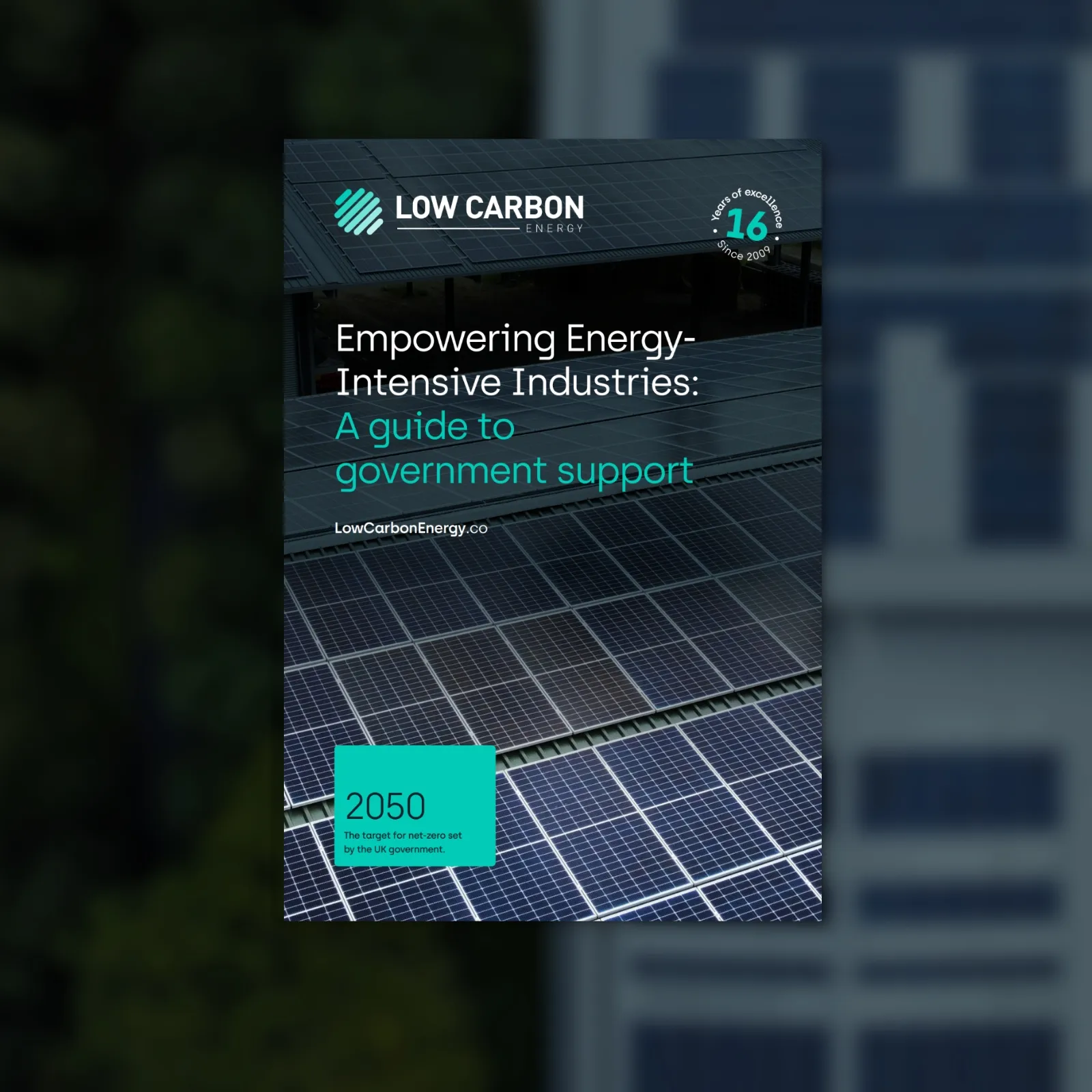 Empowering energy intensive industries - guide