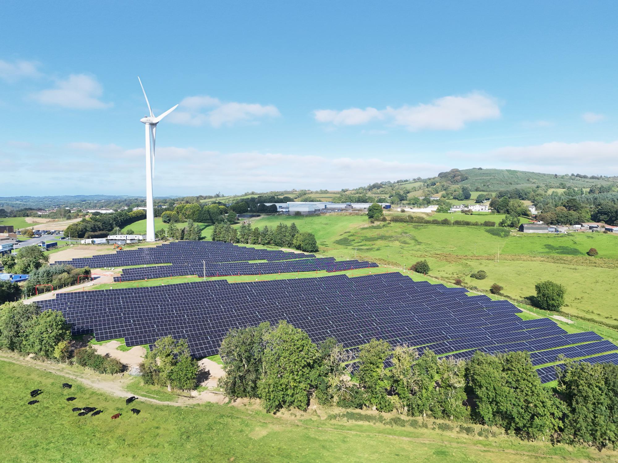 Liffey meats windmill